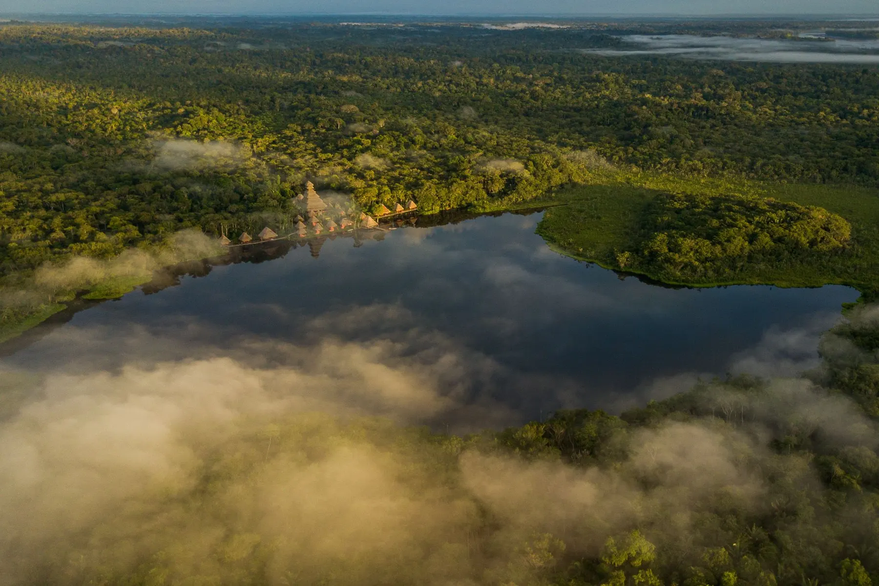 Vista aérea de una laguna amazónica rodeada de selva en el Parque Nacional Yasuní